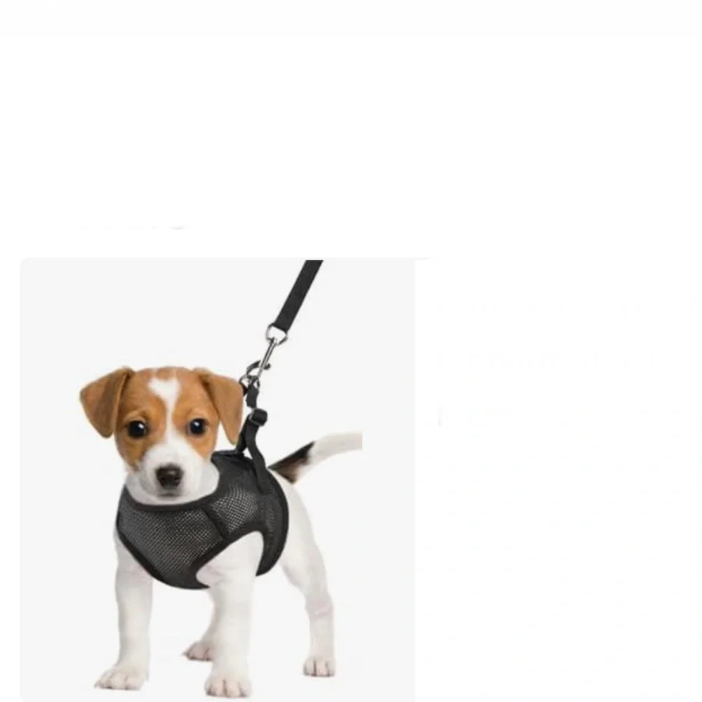 Nicole Miller Pets Harness Grey Velvet Size L NWT